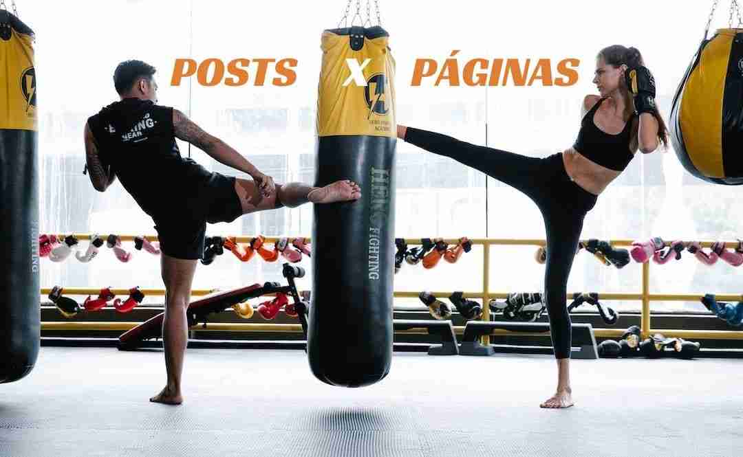 Páginas ou Posts?