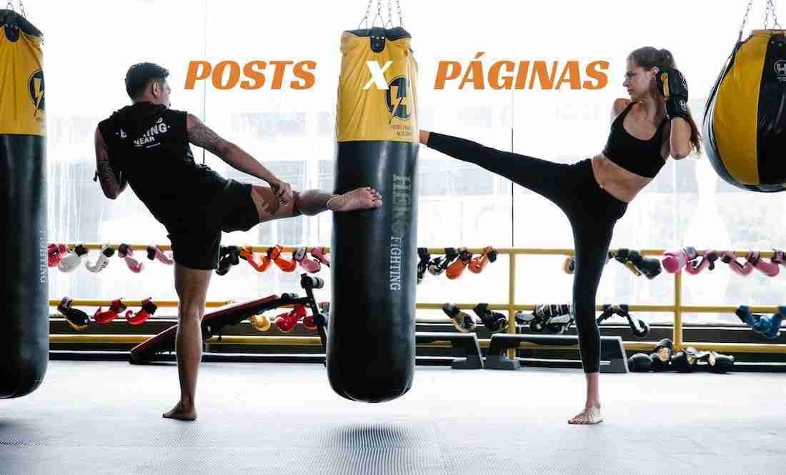 Páginas ou Posts?